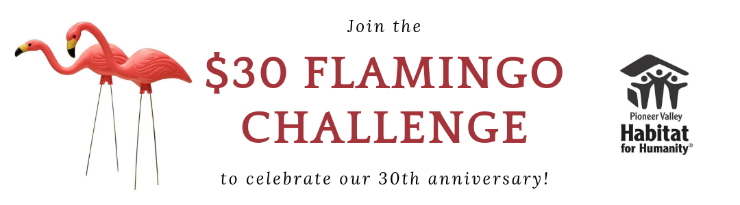 Banner with flamingos reads "$30 Flamingo Challenge"